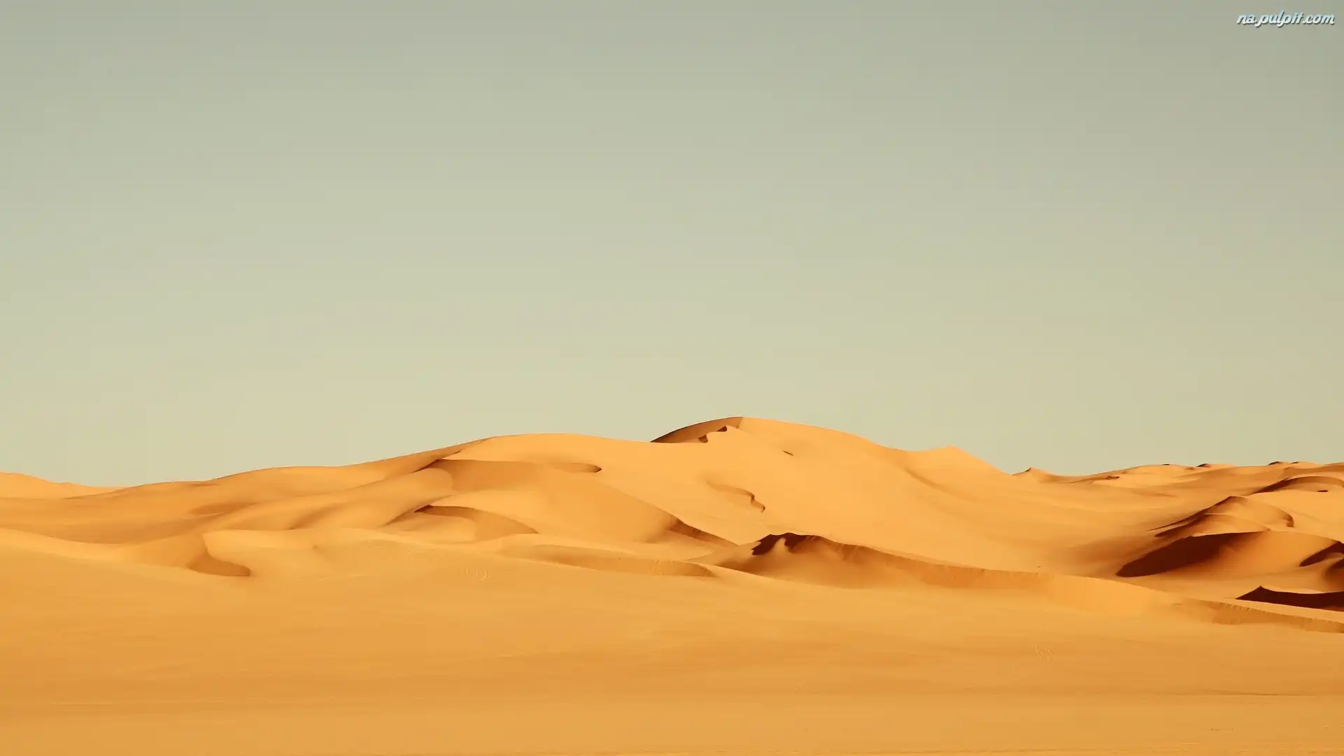 pustynia-piaskowe-wydmy.jpeg